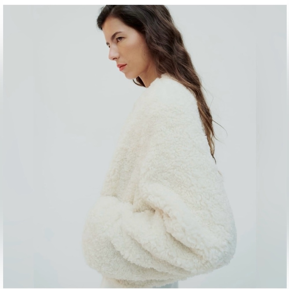 Zara Faux Shearling Jacket - Picture 5 of 12